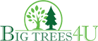 Big Trees 4U Logo