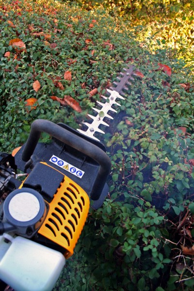 Bush and hedge trimming